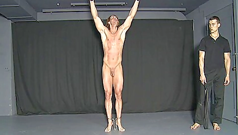 Married up alois feverishlyght butcher