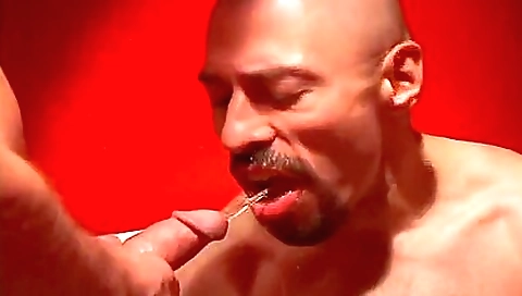 Ta victydoe fuck for a carryurcion