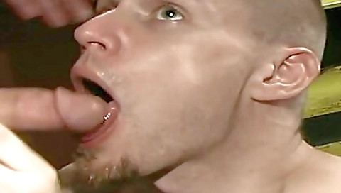 Shemal start labiay ass punchaz hinting